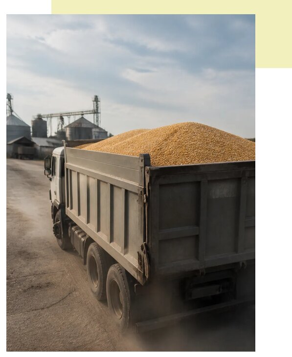 Перевозка сельхозпродукции навалом в Киров по цене от 3050 р. | Агросервис-Кро